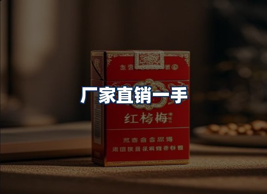 专业团队办公环境